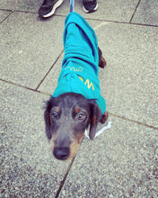 Load image into Gallery viewer, Blue Woof You Hoodie