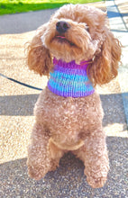 Load image into Gallery viewer, Sunset Snood