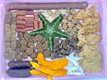 Load image into Gallery viewer, WoofOut Grain & Licks Box