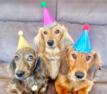 Load image into Gallery viewer, Pawty Hat