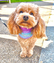 Load image into Gallery viewer, Sunset Snood