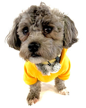 Load image into Gallery viewer, Mustard Woof You Hoodie