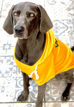 Load image into Gallery viewer, Mustard Woof You Hoodie