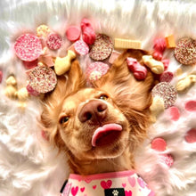 Load image into Gallery viewer, Choc & Licks