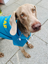 Load image into Gallery viewer, Pawsonalised Hoodies