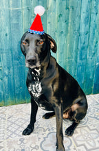 Load image into Gallery viewer, Pawty Hat