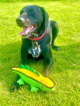 Load image into Gallery viewer, Larry, Barry & Garry Lizards with 100% recycled stuffing