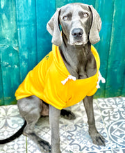 Load image into Gallery viewer, Blue Woof You Hoodie