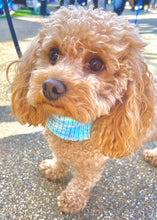 Load image into Gallery viewer, Ocean Snood