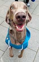 Load image into Gallery viewer, Pawsonalised Hoodies