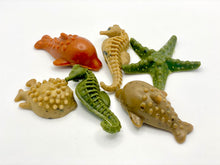 Load image into Gallery viewer, Sea creatures Large