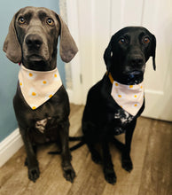 Load image into Gallery viewer, Egg Bandana