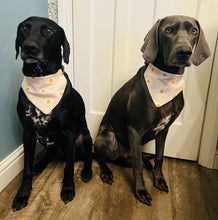 Load image into Gallery viewer, Egg Bandana