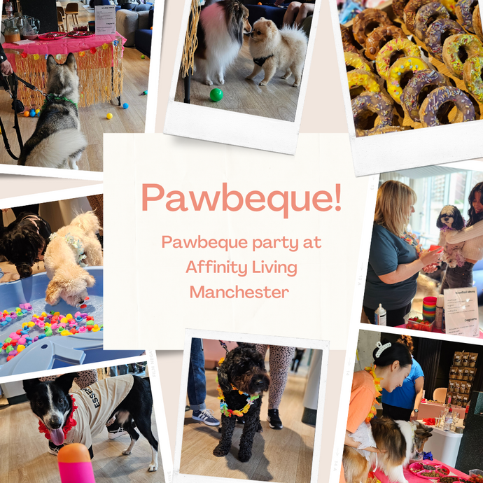 Pawbeque Pet Party at Affinity Living Manchester