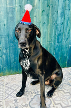 Load image into Gallery viewer, Pawty Hat
